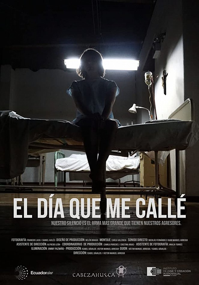 El día que me Callé - Julisteet