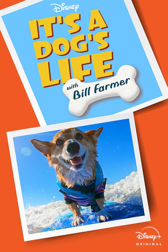 It's A Dog's Life - Plakate
