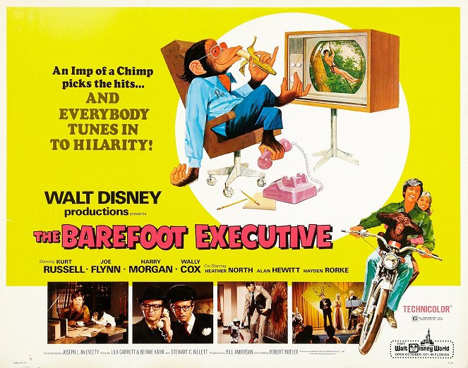 The Barefoot Executive - Affiches