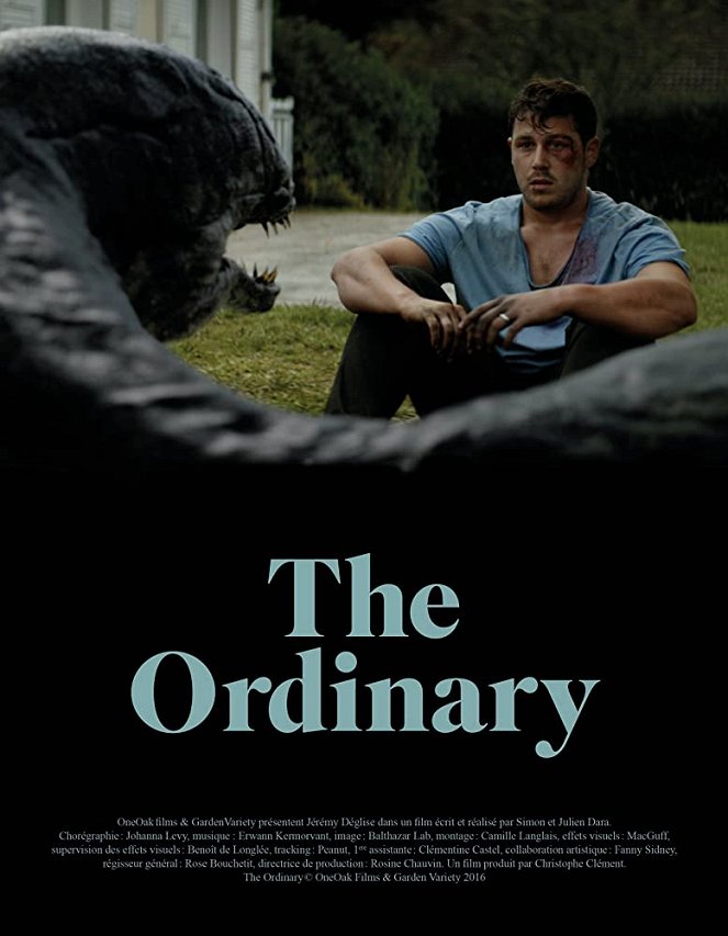 The Ordinary - Posters