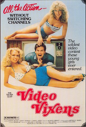 Video Vixens - Affiches