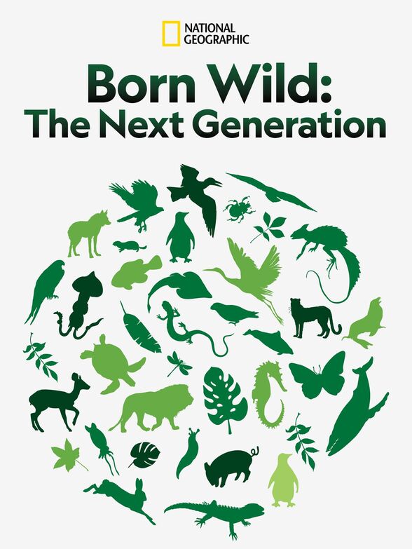Born Wild: The Next Generation - Affiches