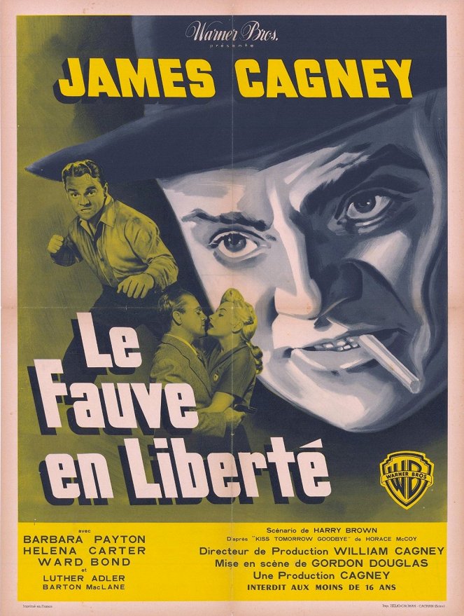 Le Fauve en liberté - Affiches