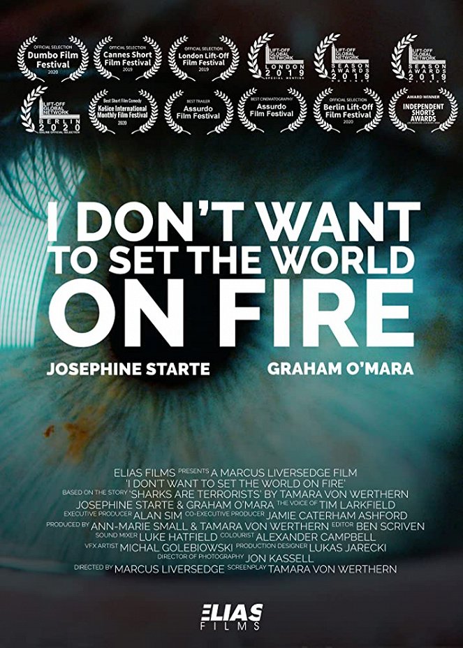 I Don't Want To Set The World On Fire - Plakáty