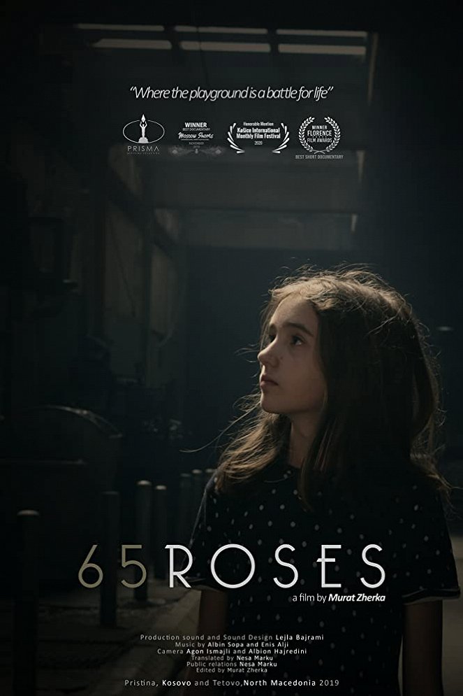 65 Roses - Posters