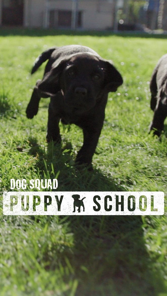 Dog Squad - Puppy School - Posters