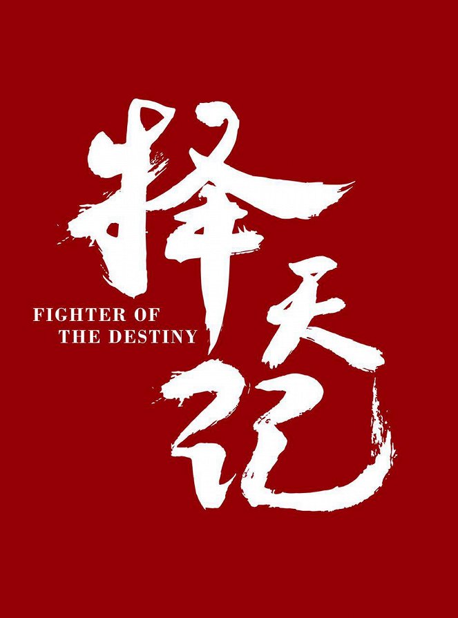 Fighter of the Destiny - Plakate