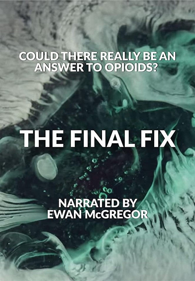 The Final Fix - Posters