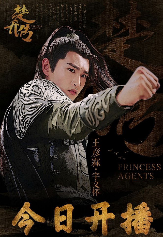 Princess Agents - Plakate