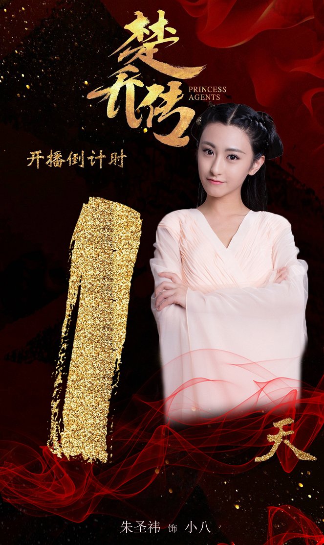 Princess Agents - Cartazes