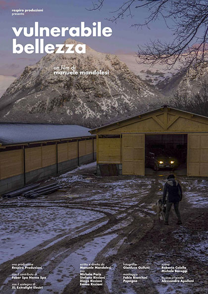 Vulnerabile Bellezza - Plagáty