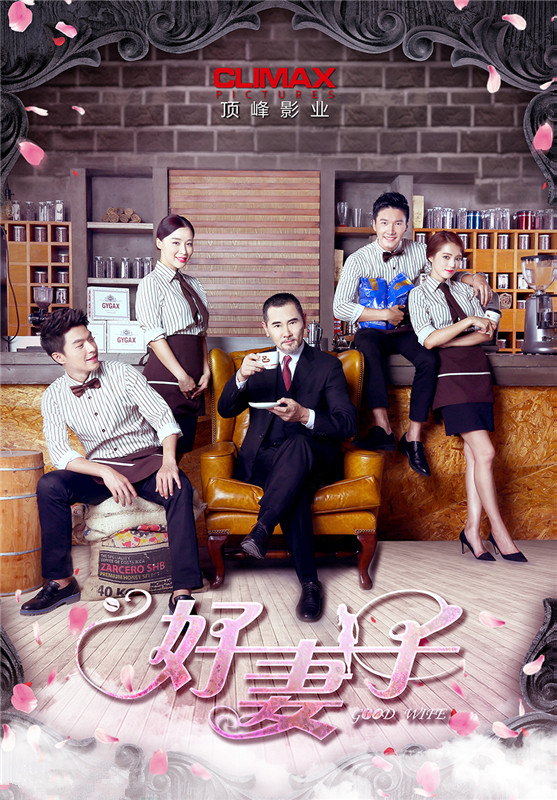 Good Wife - Affiches