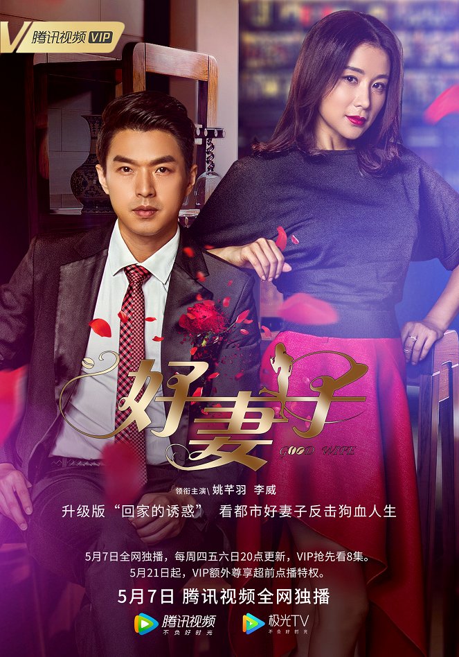 Good Wife - Affiches