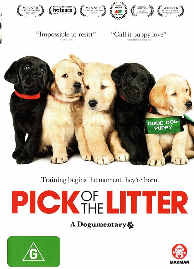 Pick of the Litter - Posters