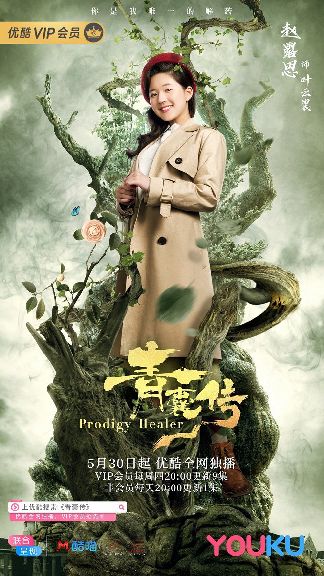 Prodigy Healer - Plakátok