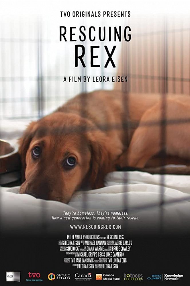 Rescuing Rex - Plakáty