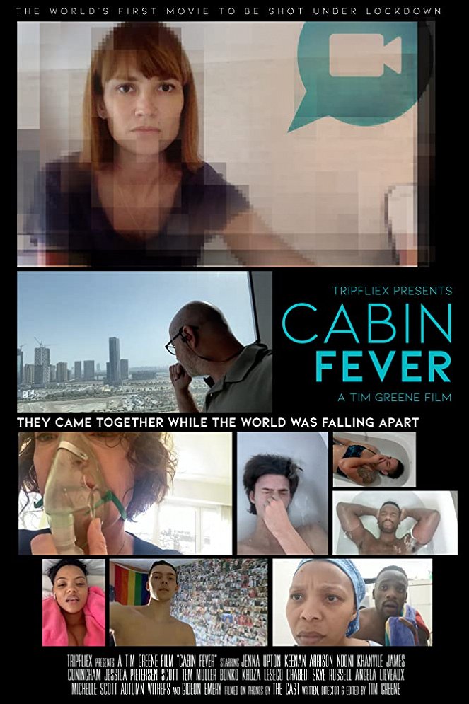 Cabin Fever - Carteles