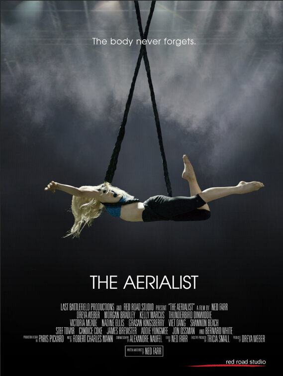 The Aerialist - Plakate