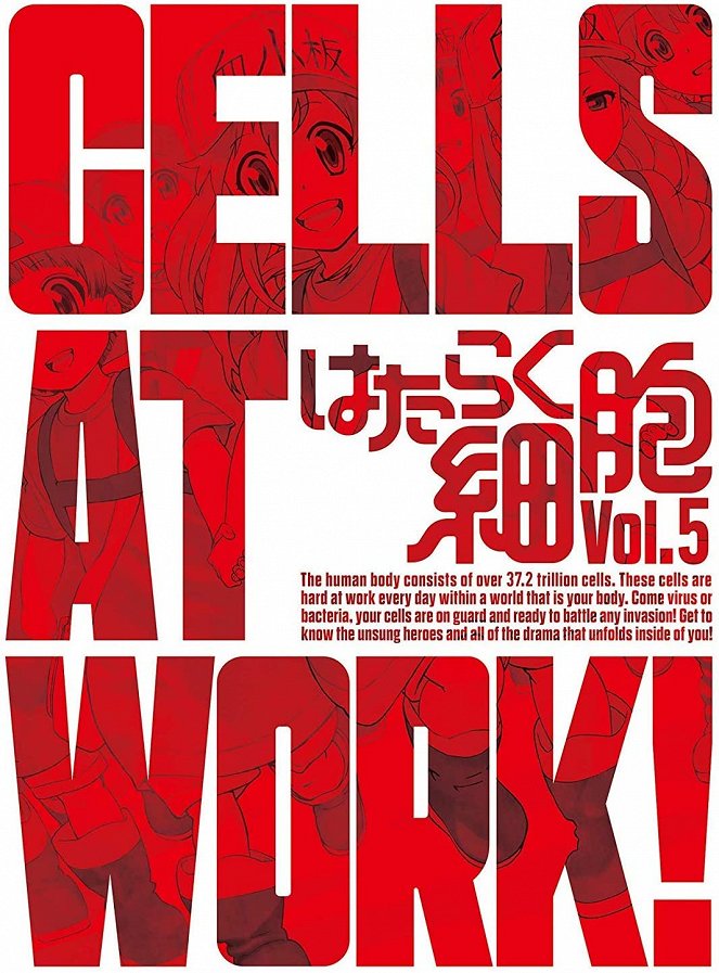 Cells at Work! - Hataraku saibó - Season 1 - Carteles