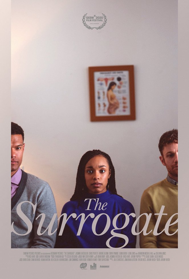 The Surrogate - Cartazes