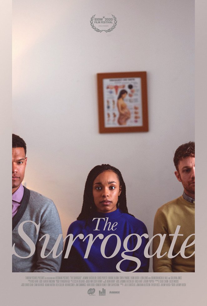 The Surrogate - Posters