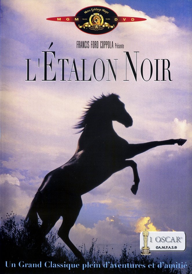 L'Etalon noir - Affiches