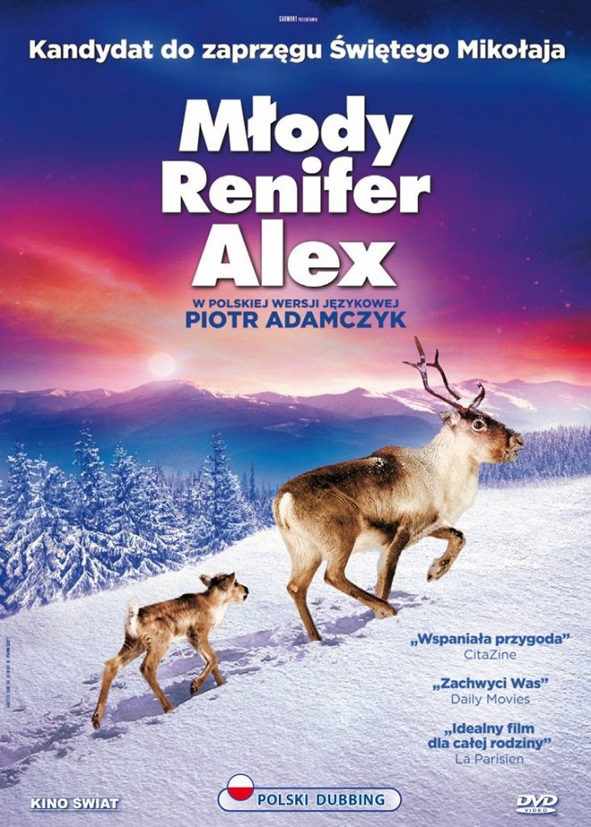 Młody renifer Alex - Plakaty