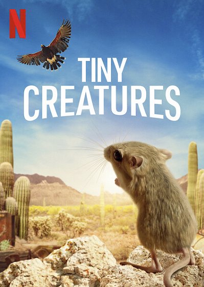 Tiny Creatures - Julisteet