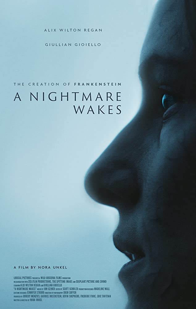 A Nightmare Wakes - Carteles
