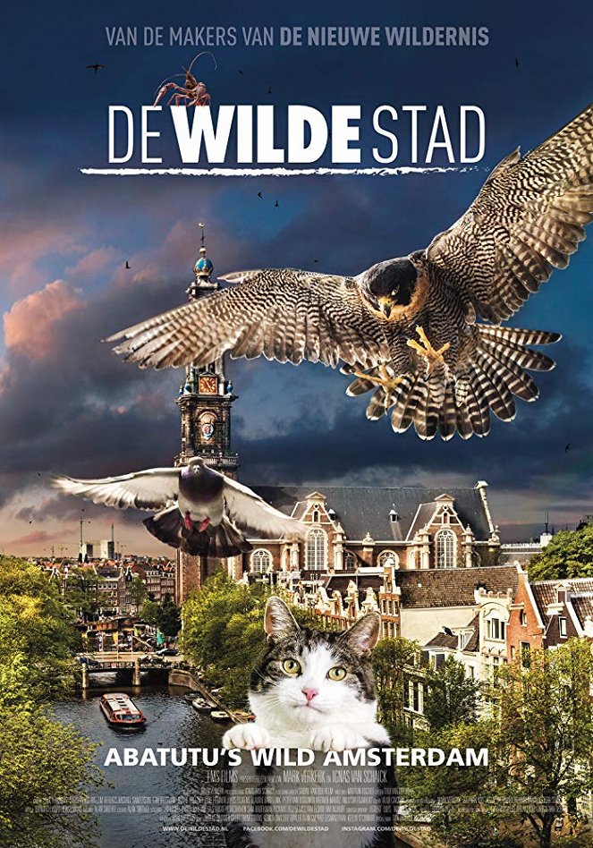 Amsterdam: Streifzug auf Katzenpfoten - Plakate