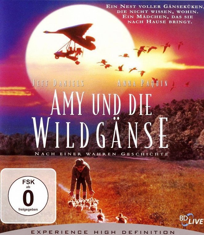 Amy und die Wildgänse - Plakate