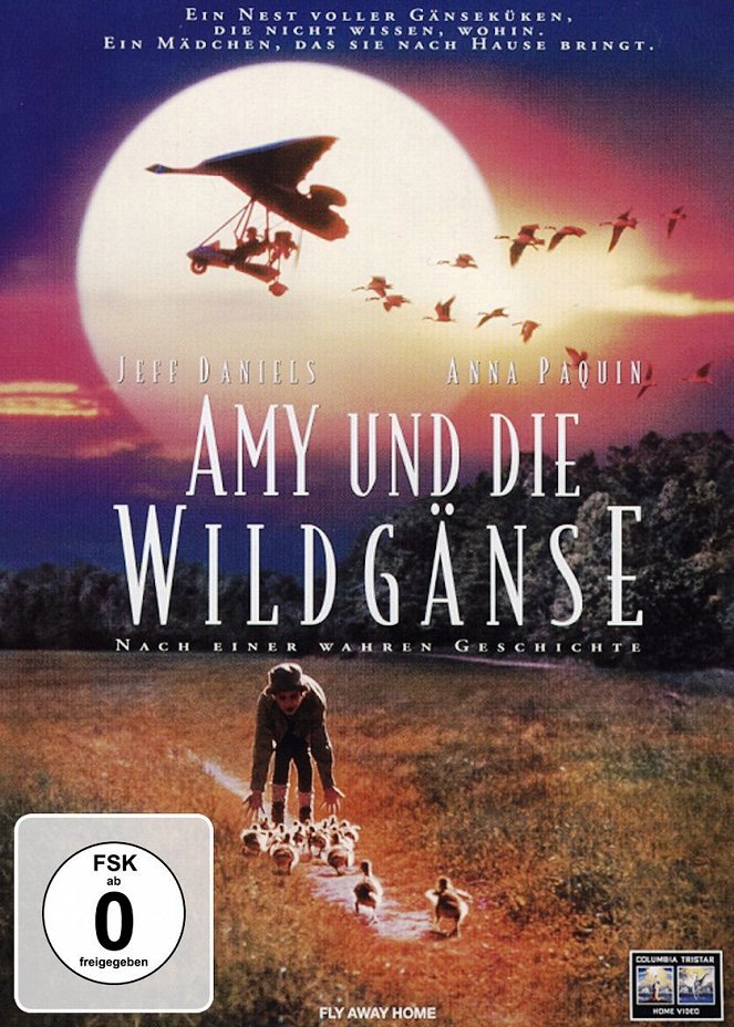 Amy und die Wildgänse - Plakate