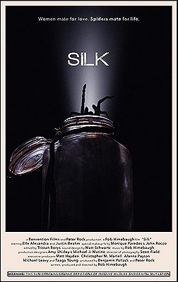 Silk - Plakaty
