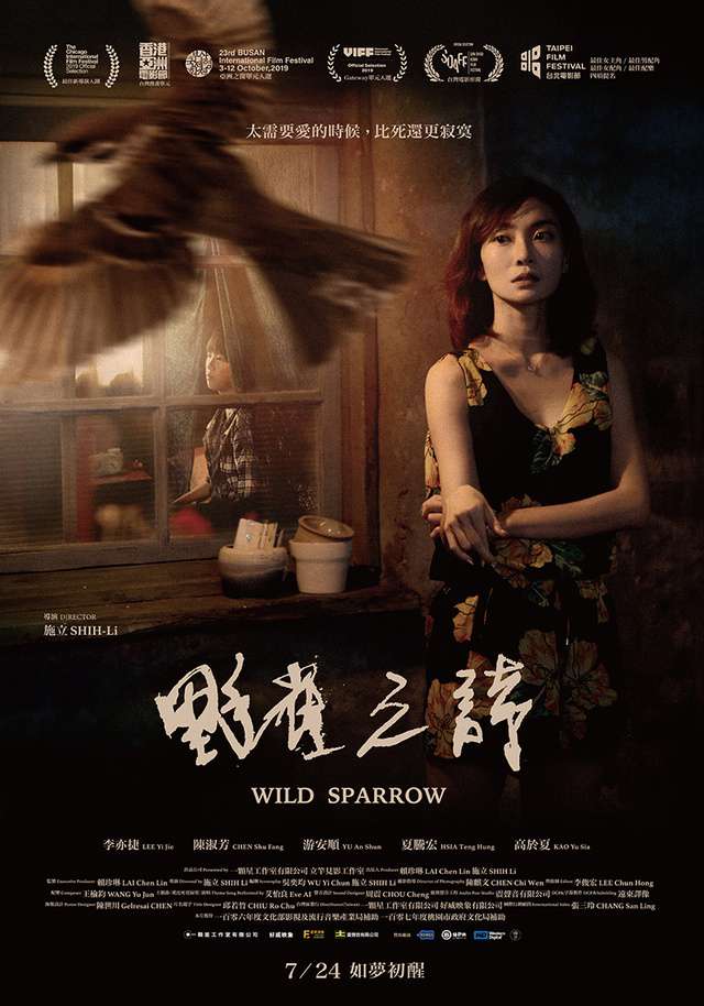 Wild Sparrow - Posters