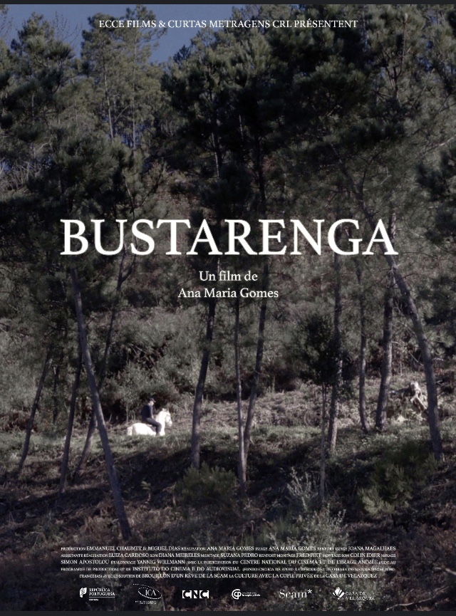 Bustarenga - Plakátok