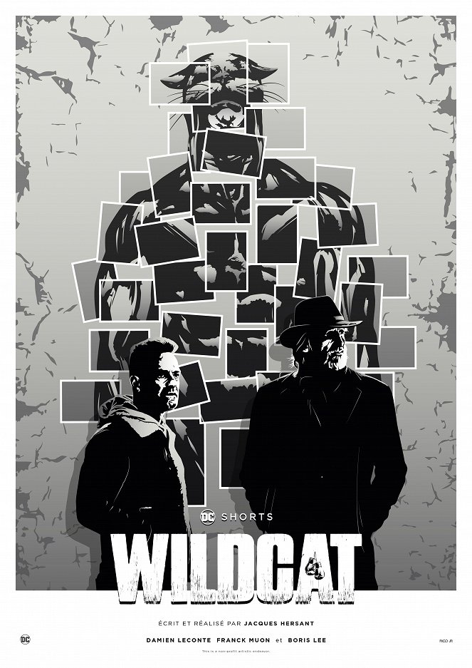 Wildcat - Plakáty