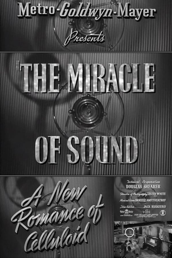 The Miracle of Sound - Affiches