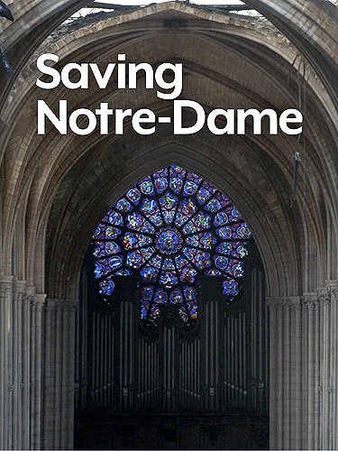 Saving Notre Dame - Posters