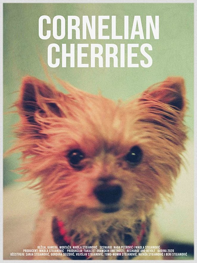 Cornelian Cherries - Plakátok
