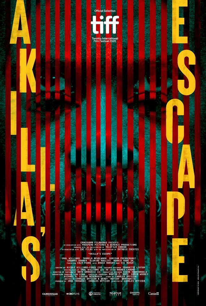 Akilla's Escape - Posters