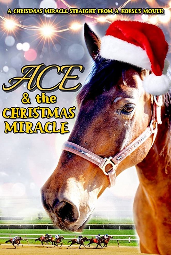 Ace a vianočný zázrak - Plagáty