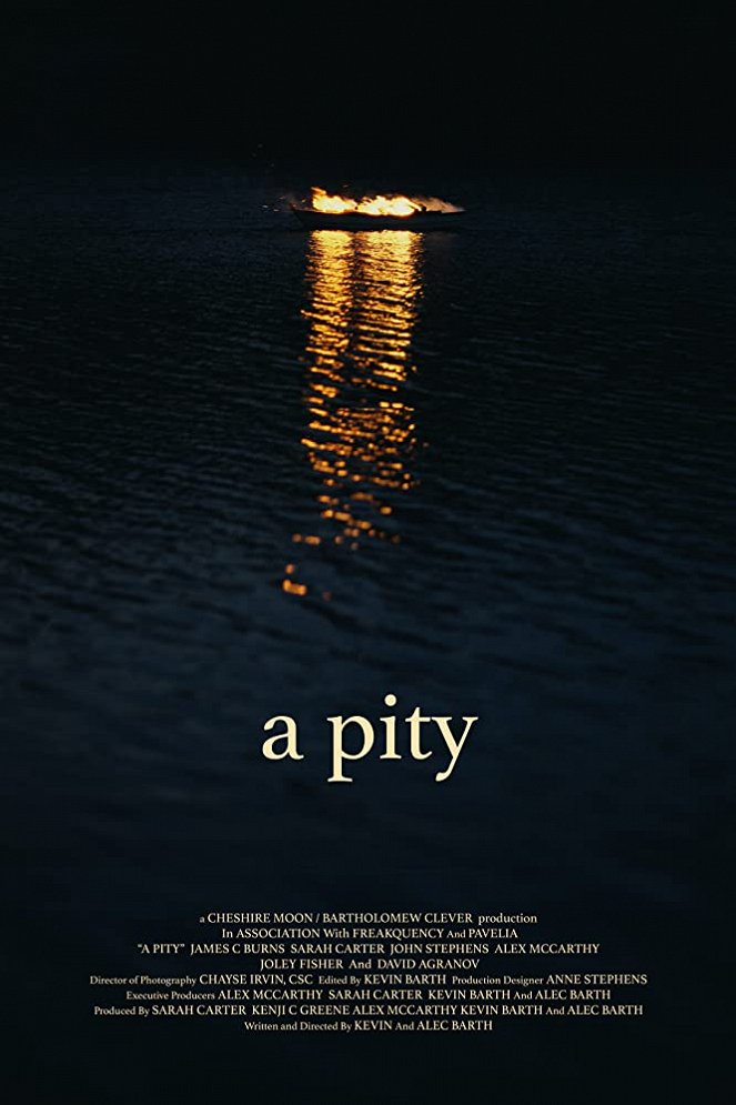 A Pity - Posters