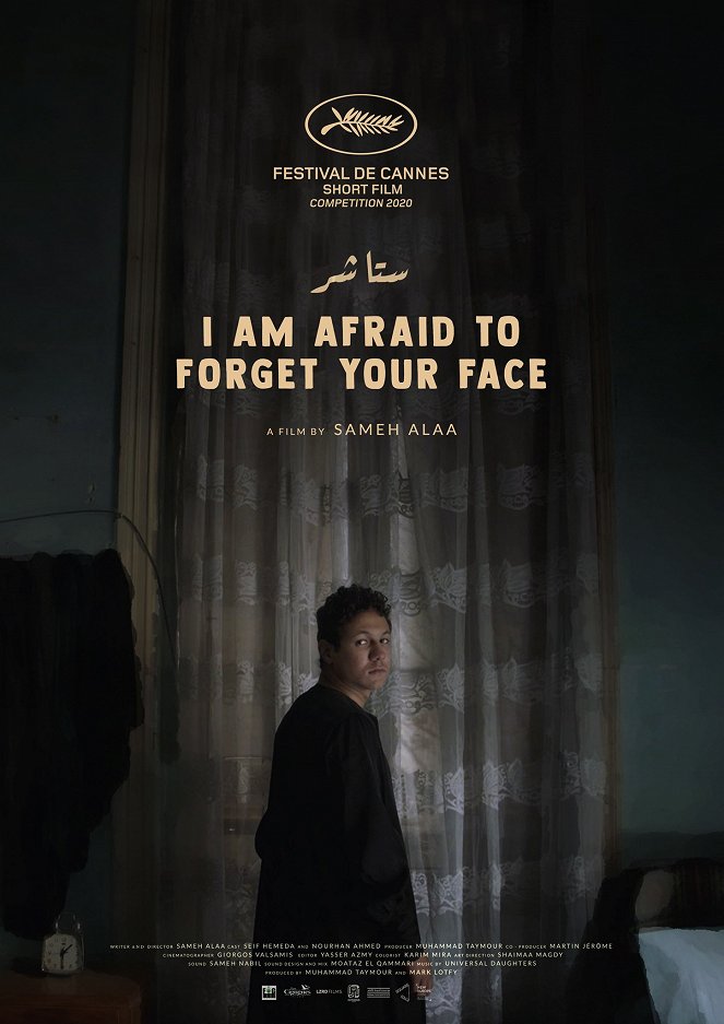 I Am Afraid to Forget Your Face - Affiches