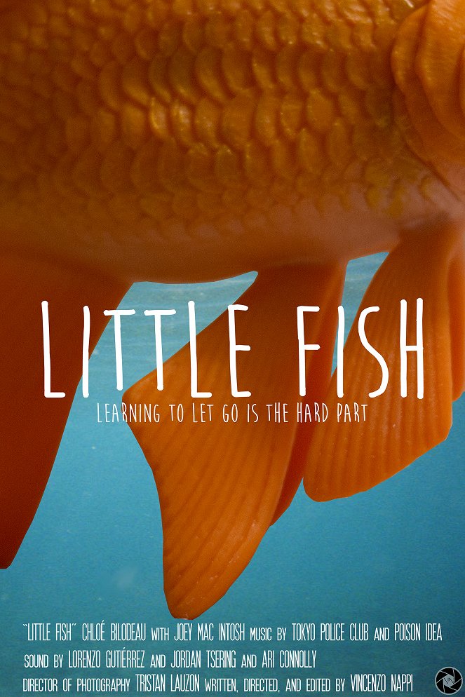 Little Fish - Affiches