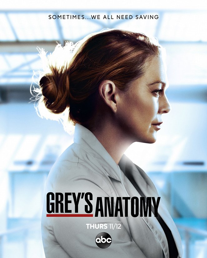 A Anatomia de Grey - Season 17 - Cartazes