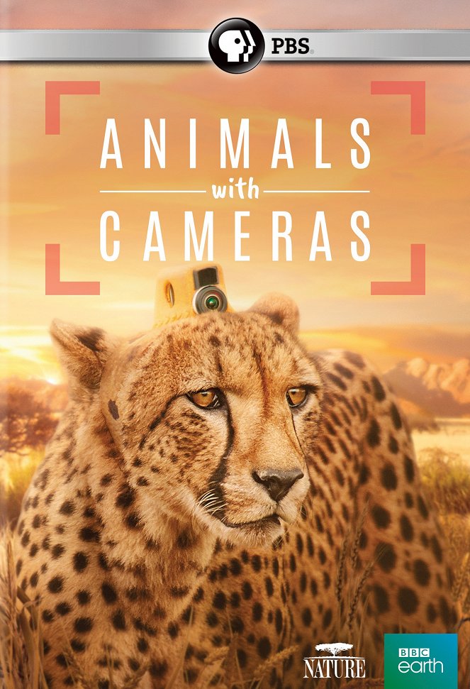 Animals With Cameras - Animals With Cameras - Season 1 - Plakaty