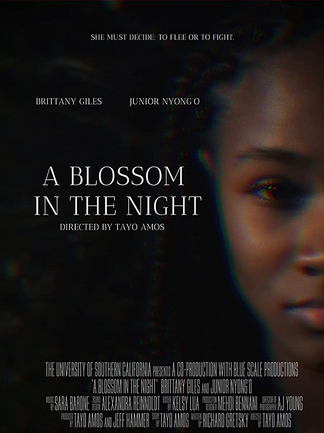 A Blossom in the Night - Posters