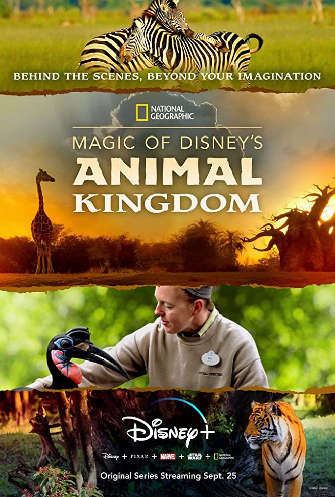 Magic of Disney's Animal Kingdom - Carteles