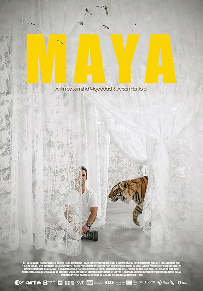 Maya - tygr indický - Plakáty