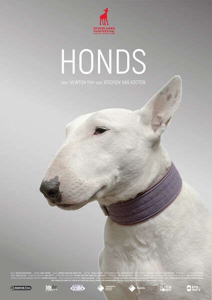 Honds - Affiches